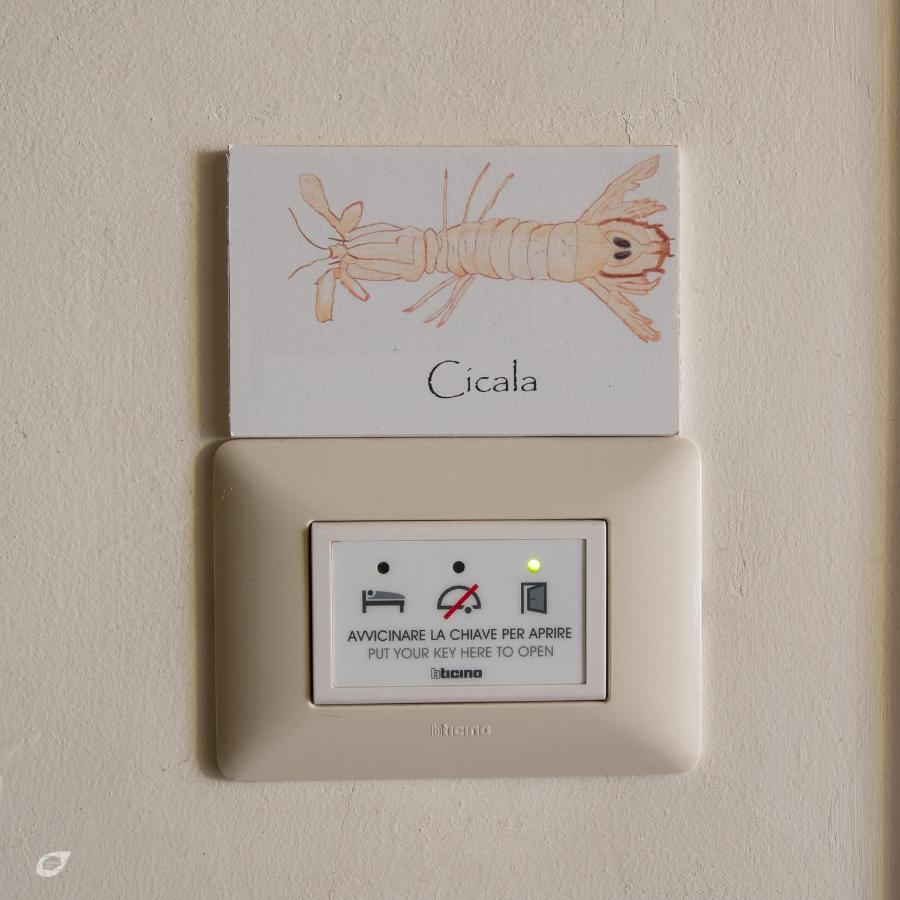 Casa Arsella Affittacamere Viareggio